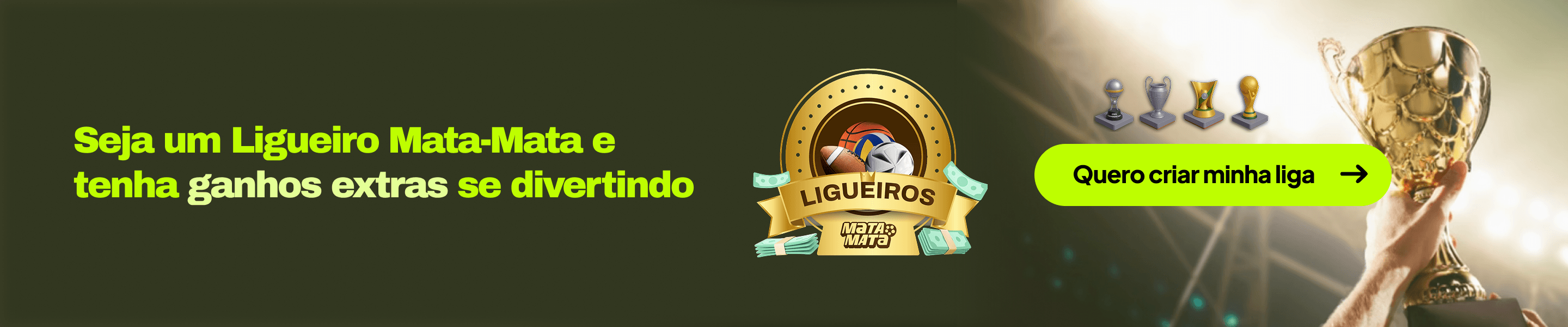 banner ligueiro